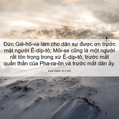 Picture 06 - Xuất Hành 11:3 VIE - Đức Giê-hô-va làm cho dân sự được - Bible Verse Picture