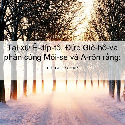 Picture 06 - Xuất Hành 12:1 VIE - Tại xứ Ê-díp-tô, Đức Giê-hô-va phán - Bible Verse Picture