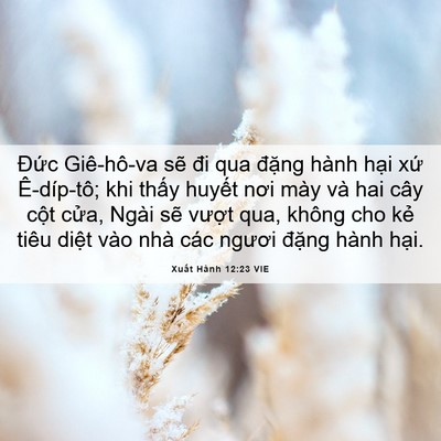 Picture 06 - Xuất Hành 12:23 VIE - Đức Giê-hô-va sẽ đi qua đặng hành - Bible Verse Picture
