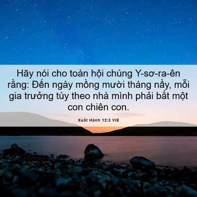 Picture 06 - Xuất Hành 12:3 VIE - Hãy nói cho toàn hội chúng Y-sơ-ra-ên - Bible Verse Picture