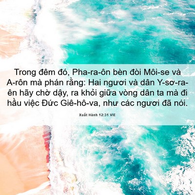 Picture 06 - Xuất Hành 12:31 VIE - Trong đêm đó, Pha-ra-ôn bèn đòi Môi-se - Bible Verse Picture