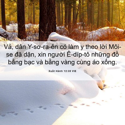 Picture 06 - Xuất Hành 12:35 VIE - Vả, dân Y-sơ-ra-ên có làm y theo lời - Bible Verse Picture
