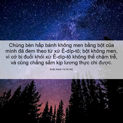 Picture 06 - Xuất Hành 12:39 VIE - Chúng bèn hấp bánh không men bằng bột - Bible Verse Picture