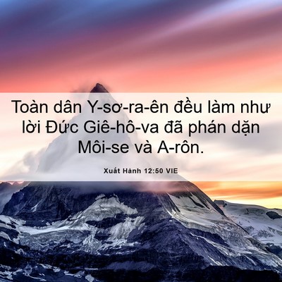 Picture 06 - Xuất Hành 12:50 VIE - Toàn dân Y-sơ-ra-ên đều làm như lời - Bible Verse Picture