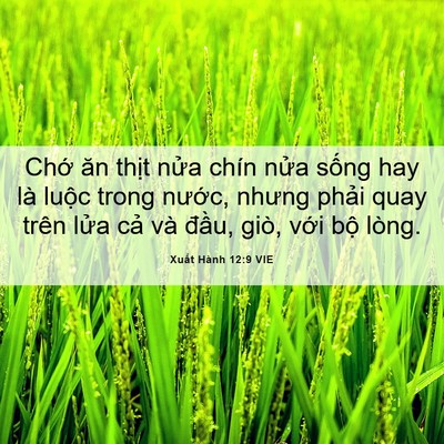 Picture 06 - Xuất Hành 12:9 VIE - Chớ ăn thịt nửa chín nửa sống hay là - Bible Verse Picture