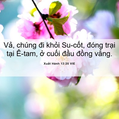 Picture 06 - Xuất Hành 13:20 VIE - Vả, chúng đi khỏi Su-cốt, đóng trại - Bible Verse Picture
