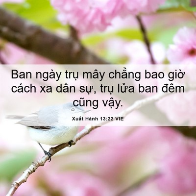 Picture 06 - Xuất Hành 13:22 VIE - Ban ngày trụ mây chẳng bao giờ cách xa - Bible Verse Picture