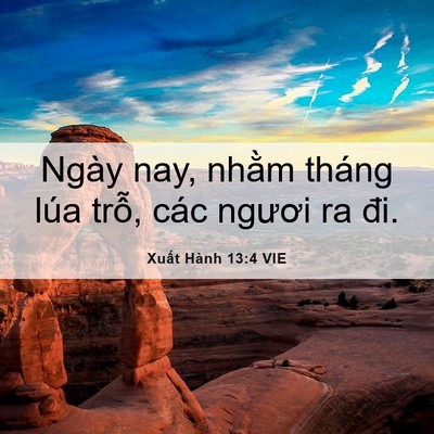 Picture 06 - Xuất Hành 13:4 VIE - Ngày nay, nhằm tháng lúa trỗ, các ngươi - Bible Verse Picture