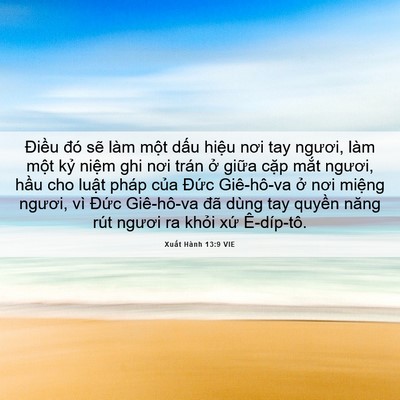 Picture 06 - Xuất Hành 13:9 VIE - Điều đó sẽ làm một dấu hiệu nơi - Bible Verse Picture