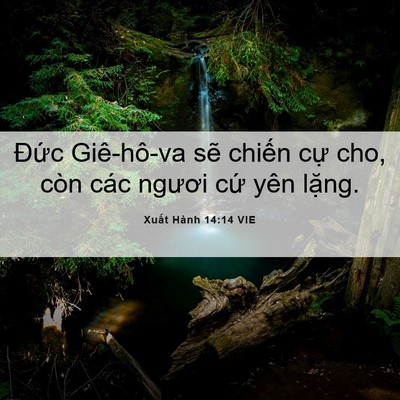 Picture 06 - Xuất Hành 14:14 VIE - Đức Giê-hô-va sẽ chiến cự cho, còn - Bible Verse Picture
