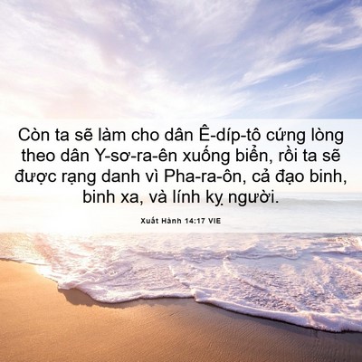 Picture 06 - Xuất Hành 14:17 VIE - Còn ta sẽ làm cho dân Ê-díp-tô cứng - Bible Verse Picture