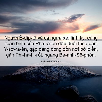 Picture 06 - Xuất Hành 14:9 VIE - Người Ê-díp-tô và cả ngựa xe, lính - Bible Verse Picture