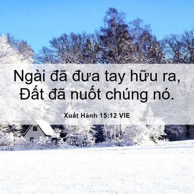 Picture 06 - Xuất Hành 15:12 VIE - Ngài đã đưa tay hữu ra, Đất đã nuốt - Bible Verse Picture