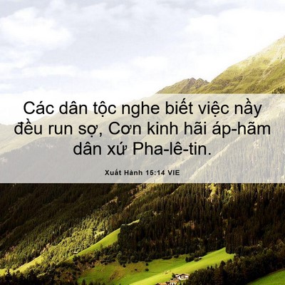 Picture 06 - Xuất Hành 15:14 VIE - Các dân tộc nghe biết việc nầy đều - Bible Verse Picture