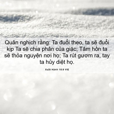Picture 06 - Xuất Hành 15:9 VIE - Quân nghịch rằng: Ta đuổi theo, ta sẽ - Bible Verse Picture