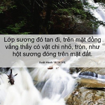 Picture 06 - Xuất Hành 16:14 VIE - Lớp sương đó tan đi, trên mặt đồng - Bible Verse Picture