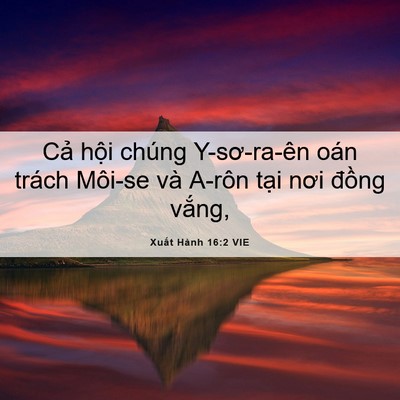 Picture 06 - Xuất Hành 16:2 VIE - Cả hội chúng Y-sơ-ra-ên oán trách - Bible Verse Picture