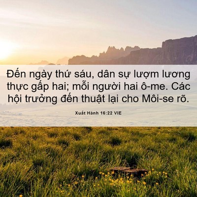 Picture 06 - Xuất Hành 16:22 VIE - Đến ngày thứ sáu, dân sự lượm - Bible Verse Picture