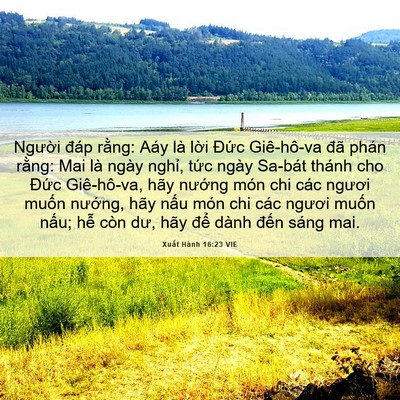 Picture 06 - Xuất Hành 16:23 VIE - Người đáp rằng: Aáy là lời Đức - Bible Verse Picture