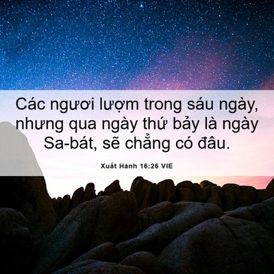 Picture 06 - Xuất Hành 16:26 VIE - Các ngươi lượm trong sáu ngày, nhưng qua - Bible Verse Picture