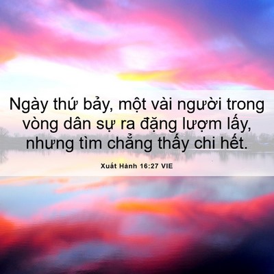 Picture 06 - Xuất Hành 16:27 VIE - Ngày thứ bảy, một vài người trong - Bible Verse Picture