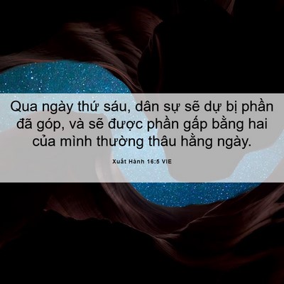 Picture 06 - Xuất Hành 16:5 VIE - Qua ngày thứ sáu, dân sự sẽ dự bị - Bible Verse Picture