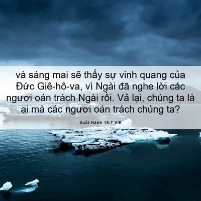 Picture 06 - Xuất Hành 16:7 VIE - và sáng mai sẽ thấy sự vinh quang của - Bible Verse Picture