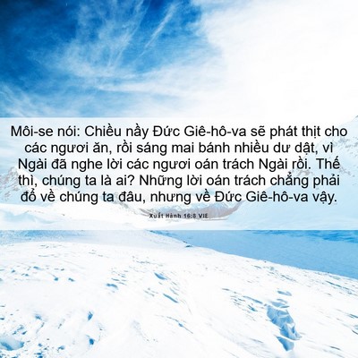 Picture 06 - Xuất Hành 16:8 VIE - Môi-se nói: Chiều nầy Đức Giê-hô-va - Bible Verse Picture