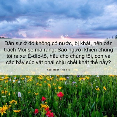 Picture 06 - Xuất Hành 17:3 VIE - Dân sự ở đó không có nước, bị - Bible Verse Picture