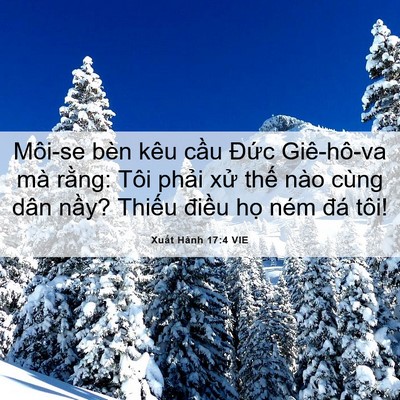 Picture 06 - Xuất Hành 17:4 VIE - Môi-se bèn kêu cầu Đức Giê-hô-va mà - Bible Verse Picture