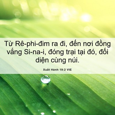 Picture 06 - Xuất Hành 19:2 VIE - Từ Rê-phi-đim ra đi, đến nơi đồng - Bible Verse Picture