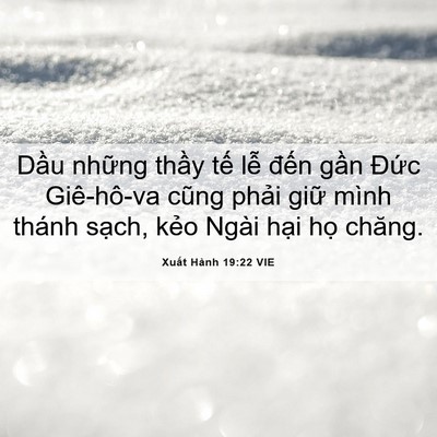 Picture 06 - Xuất Hành 19:22 VIE - Dầu những thầy tế lễ đến gần - Bible Verse Picture
