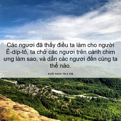 Picture 06 - Xuất Hành 19:4 VIE - Các ngươi đã thấy điều ta làm cho - Bible Verse Picture