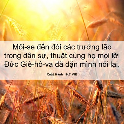 Picture 06 - Xuất Hành 19:7 VIE - Môi-se đến đòi các trưởng lão trong - Bible Verse Picture