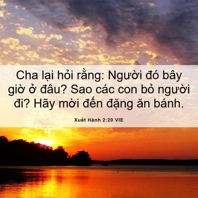 Picture 06 - Xuất Hành 2:20 VIE - Cha lại hỏi rằng: Người đó bây giờ - Bible Verse Picture