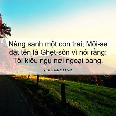 Picture 06 - Xuất Hành 2:22 VIE - Nàng sanh một con trai; Môi-se đặt tên - Bible Verse Picture