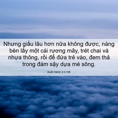 Picture 06 - Xuất Hành 2:3 VIE - Nhưng giấu lâu hơn nữa không được, - Bible Verse Picture