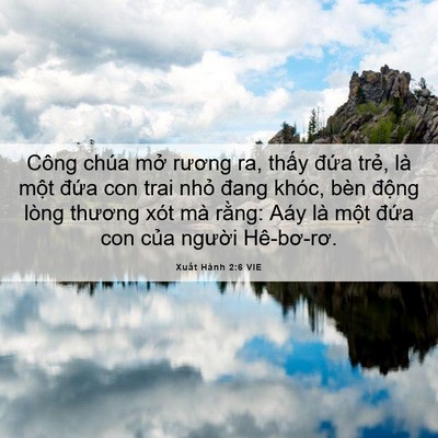 Picture 06 - Xuất Hành 2:6 VIE - Công chúa mở rương ra, thấy đứa trẻ, - Bible Verse Picture