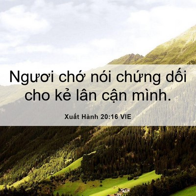Picture 06 - Xuất Hành 20:16 VIE - Ngươi chớ nói chứng dối cho kẻ lân - Bible Verse Picture