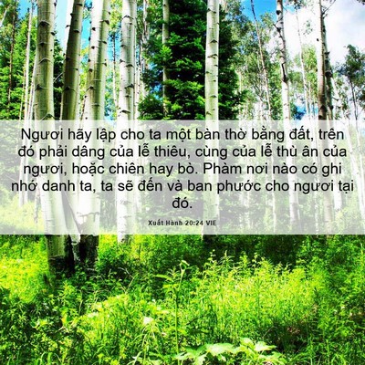 Picture 06 - Xuất Hành 20:24 VIE - Ngươi hãy lập cho ta một bàn thờ bằng - Bible Verse Picture