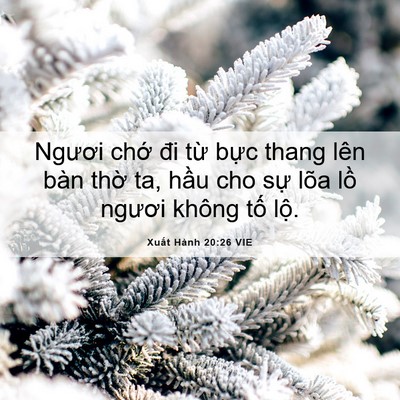 Picture 06 - Xuất Hành 20:26 VIE - Ngươi chớ đi từ bực thang lên bàn - Bible Verse Picture