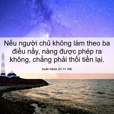 Picture 06 - Xuất Hành 21:11 VIE - Nếu người chủ không làm theo ba điều - Bible Verse Picture