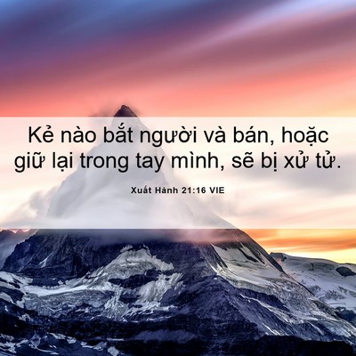 Picture 06 - Xuất Hành 21:16 VIE - Kẻ nào bắt người và bán, hoặc giữ - Bible Verse Picture