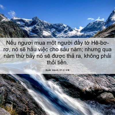 Picture 06 - Xuất Hành 21:2 VIE - Nếu ngươi mua một người đầy tớ - Bible Verse Picture