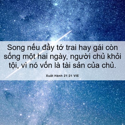 Picture 06 - Xuất Hành 21:21 VIE - Song nếu đầy tớ trai hay gái còn sống - Bible Verse Picture