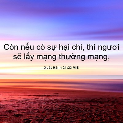 Picture 06 - Xuất Hành 21:23 VIE - Còn nếu có sự hại chi, thì ngươi sẽ - Bible Verse Picture