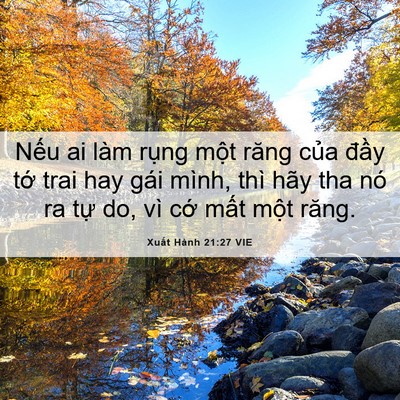 Picture 06 - Xuất Hành 21:27 VIE - Nếu ai làm rụng một răng của đầy - Bible Verse Picture