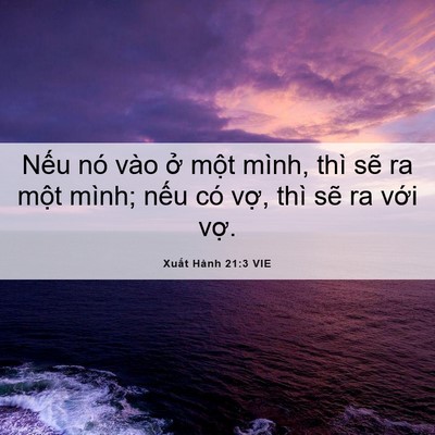 Picture 06 - Xuất Hành 21:3 VIE - Nếu nó vào ở một mình, thì sẽ ra - Bible Verse Picture