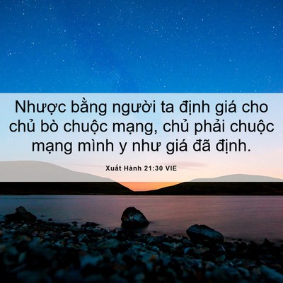 Picture 06 - Xuất Hành 21:30 VIE - Nhược bằng người ta định giá cho - Bible Verse Picture