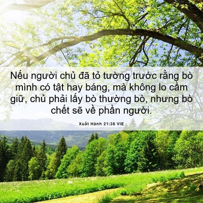 Picture 06 - Xuất Hành 21:36 VIE - Nếu người chủ đã tỏ tường trước - Bible Verse Picture